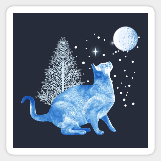 Cat in Winter Solstice Sticker by emma17